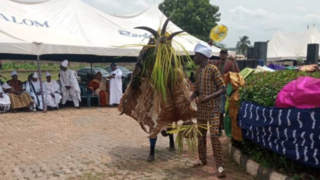 Aworan lati ibi ayẹyẹ ọdun Orugbo