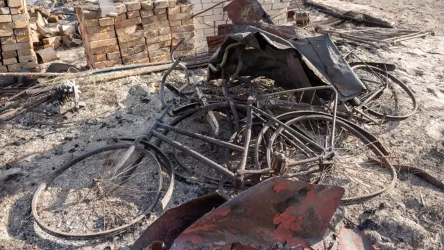 Пожежі на Житомирщині. Фото