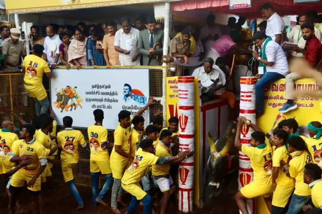 அவனியாபுரம் ஜல்லிக்கட்டு