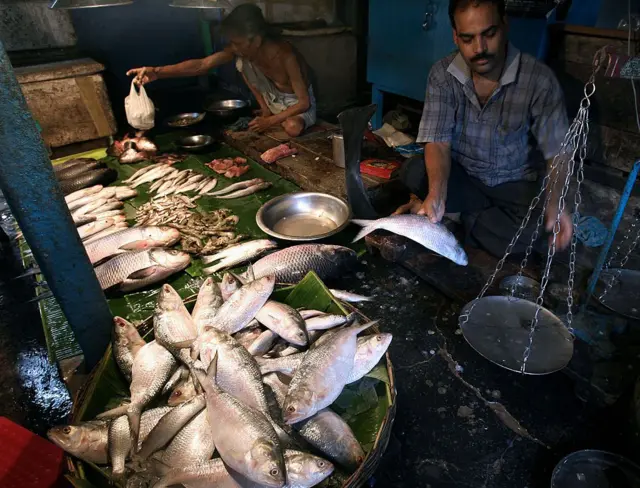 জুলাই মাসে একবারই পশ্চিমবঙ্গের উপকূলে ইলিশের বড় ঝাঁক ধরা পড়েছিল