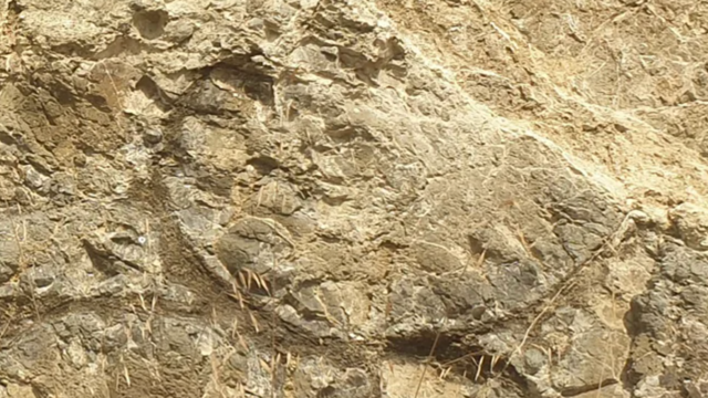 புதன் கோள்: சூரிய குடும்பத்தில் உள்ள இந்த மிகச்சிறிய கிரகம் ஒரு காலத்தில் பூமியைப் போல் பெரிதாக இருந்ததா?