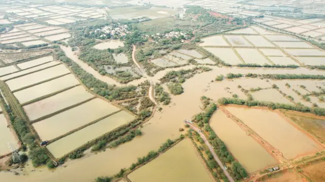 మిగ్ జాం తుపాను