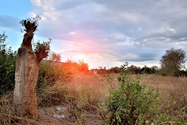 ਡਾਰਕ ਜ਼ੋਨਾਂ