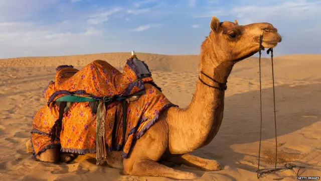 राजस्थान