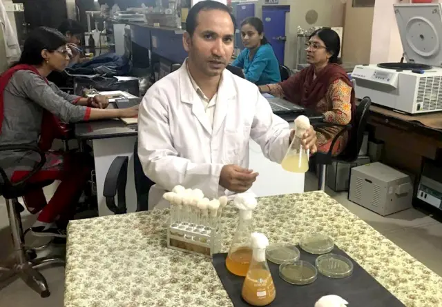 ప్రొఫెసర్ భూక్యా భీమా