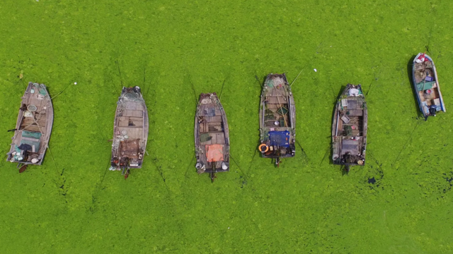 Barcos paradospixbet365 apklodo