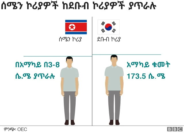 የሁለቱ ኮሪያዎች የወንዶች ቁመት