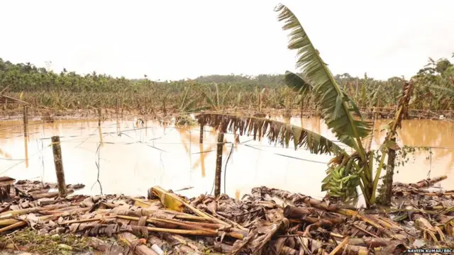 केरल बाढ़