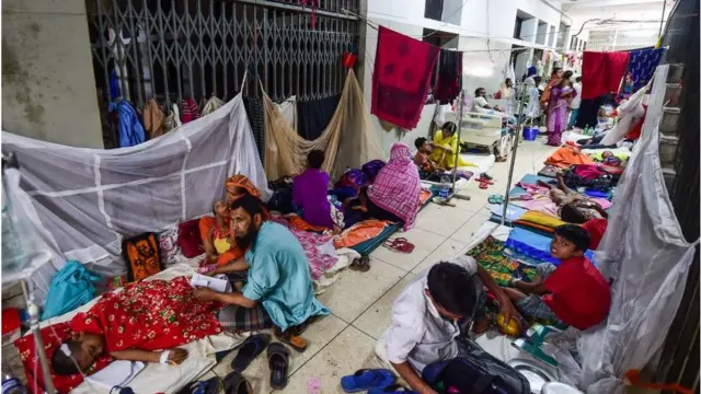 ঢাকার বিভিন্ন হাসপাতালে ডেঙ্গু রোগীদের ভিড় বেড়েছে