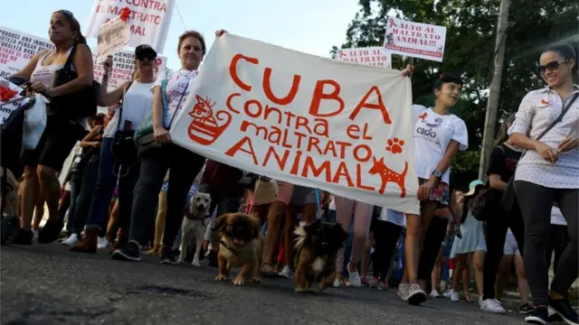 Cubans march against animal cruelty, in what is thought to be the first independent demonstration allowed in the country