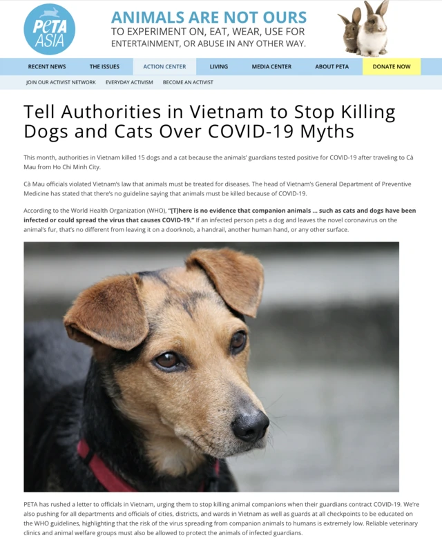 Peta Asia