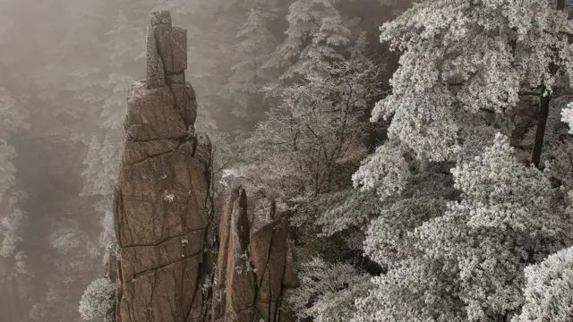 （图片来源: Dave Stamboulis）