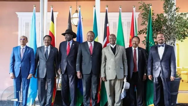 Hoggantoota biyyoota Afrikaa eebba Paarkii Tokkummaa irratti ALI Fulbaana 29, 2012 argaman