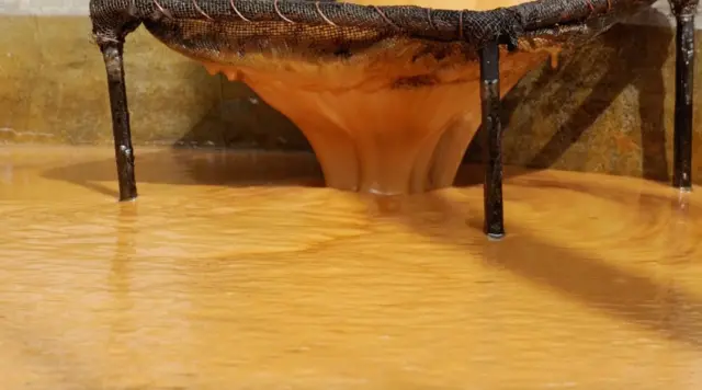 ગોળ શેરડી ખેતી ગુજરાત અરવલ્લી 