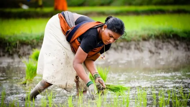 விவசாயம், வேளாண்மை, விவசாய்கள், மானியம்