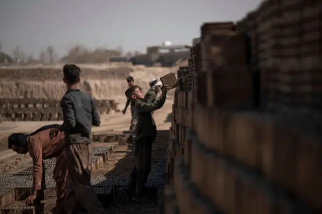 کارگران مهجر افغان در حال کار