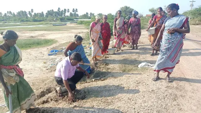 கடல் அரிப்பை தடுக்க உதவுமா பனை மரம்