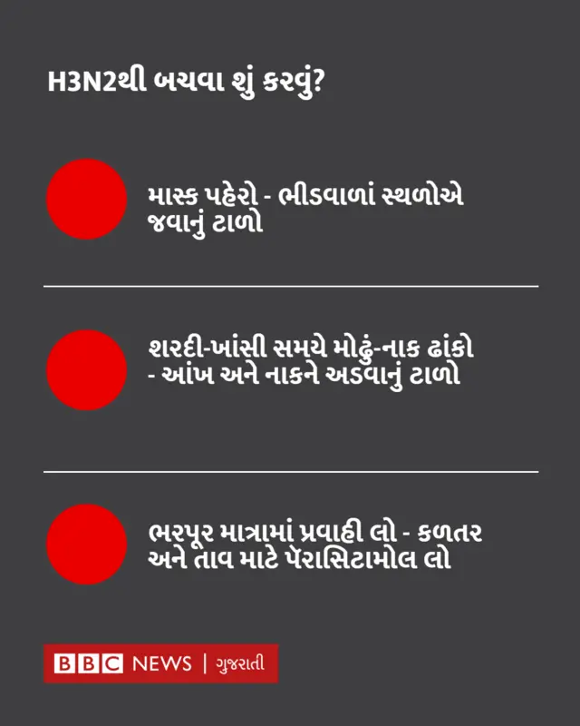 H3N2થી બચવા શું કરવું?
