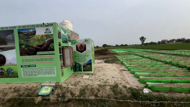 ਗੰਡੋਇਆਂ ਦੀ ਖਾਦ