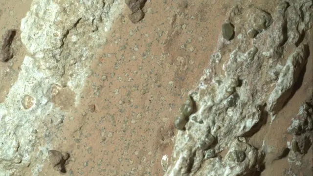 Imagen tomada en la superficie de Marte que muestra una gran roca granulada de color rojo con inusuales puntos pálidos rodeados de un contorno negro que parecen manchas de leopardo