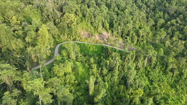 Lokasi sarang burung maloe, bernama Maleo Raja.