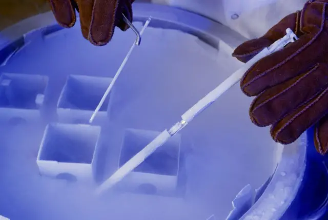 Lab araştırmaları