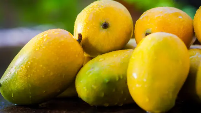 மாம்பழம் பரவியதன் வியக்க வைக்கும் வரலாறு.