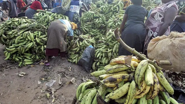 wasu yan kasuwa masu sayar da plantain