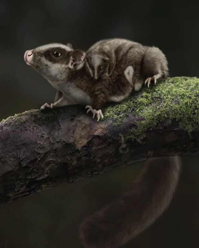 Сүт эмүүчүлөр миллиондогон жылдар бою динозаврлардын көлөкөсүндө кичинекей жана көзгө анчейин учурабаган бойдон жашашкан.