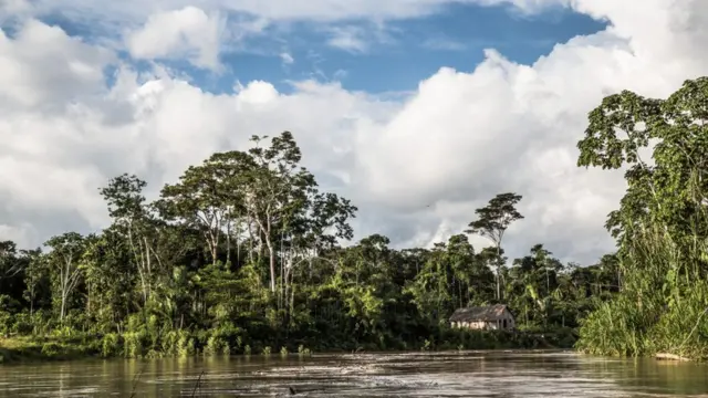 Casa ribeirinhavalhalla slotmeio à mata e na beiravalhalla slotum rio na região amazônica