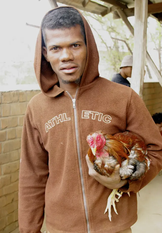 Considéré comme un simple loisir pour certains, le combat de coqs est pour d'autres un moyen de gagner sa vie