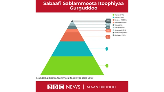 Lakkoofsa uummata Itoophiyaa ragaa bara 1999 hojjetamaeen