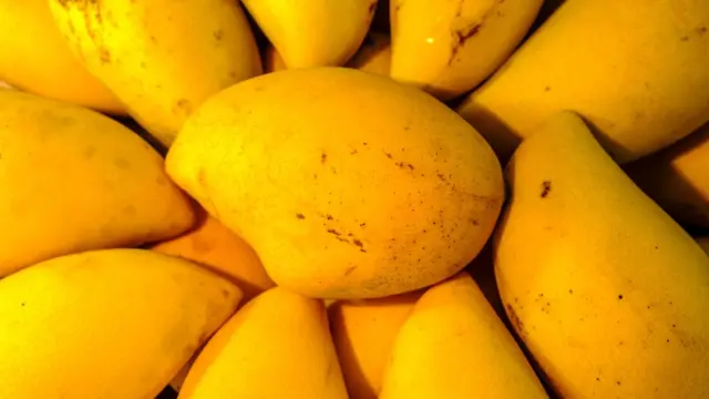 Mangoes