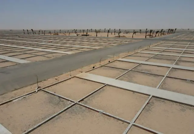 Yadda ake yanka filayen binne mamata a maƙabartar Wadi al-Salam