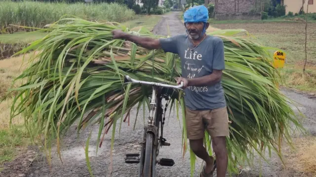 లాభాలు తగ్గుతుండటంతో రైతులు కూడా పంట వేయడంపై ఆసక్తి చూపడం లేదు.