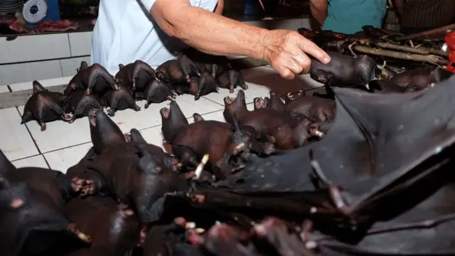 கொரோனா வைரஸ்: பரிசோதனை நிலையத்தில் இருந்து வெளியானது என்ற வாதத்தில் உண்மை இருக்கிறதா?