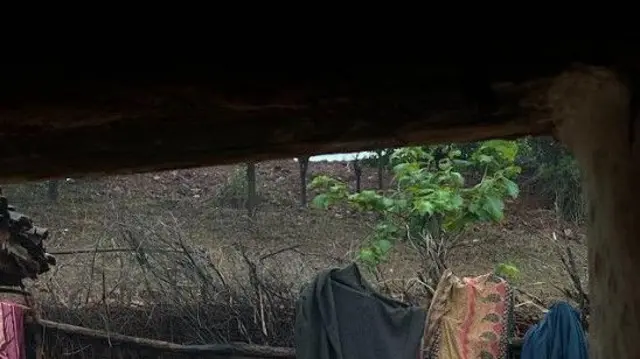 मध्य प्रदेश बलात्कार कांड