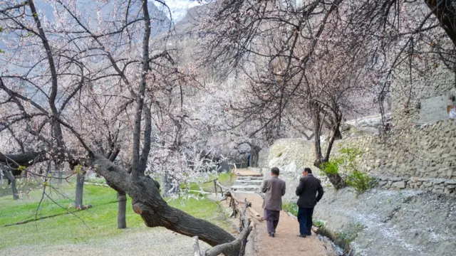 سکردو اور ہنزہ میں موسمِ بہار