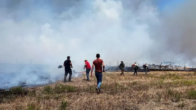 إسرائيليون يخمدون حرائق أشعلتها مقذوفات لحزب الله على شمال إسرائيل، 7 يوليو/تموز 2024. 