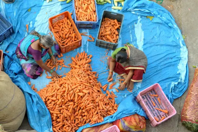 క్యారెట్లు శుభ్రం చేస్తున్న మహిళలు