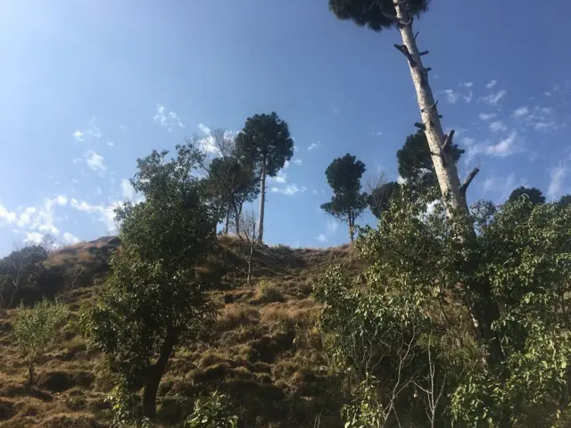 அபிநந்தன்