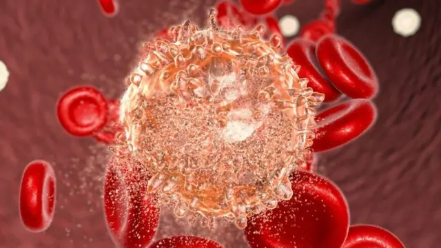 ক্যান্সার স্বাস্থ্য বিজ্ঞান