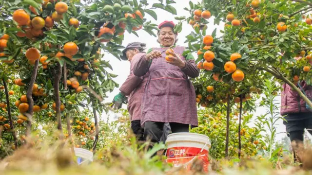 ਅਮਰੀਕਾ ਗੋਲੀਬਾਰੀ