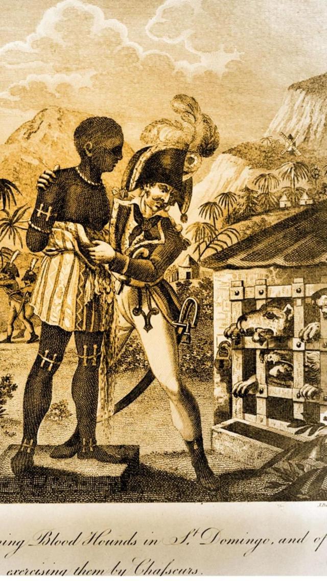 Haïti : Comment le pays a payé cher son indépendance - BBC News Afrique
