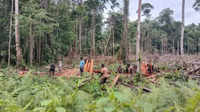 Agimuga, papua