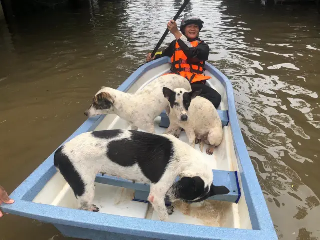 ၂၀၂၄ ခုနှစ်၊ ဇူလိုင်လတုန်းက ဘားအံမြို့မြင်ကွင်း