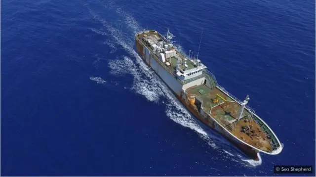 પ્રતીકાત્મક તસવીર