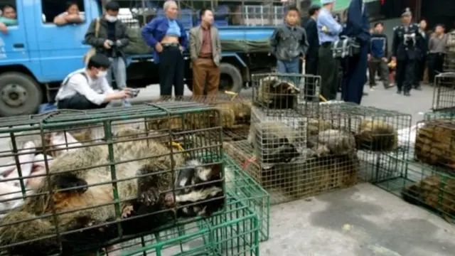 bu gün koronavirus Azərbaycan