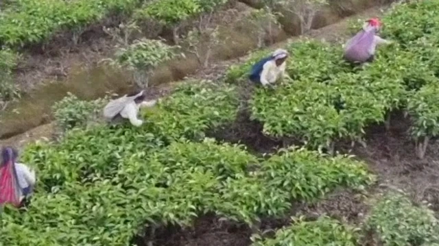 అస్సాం, భారత్, ఎన్నికలు