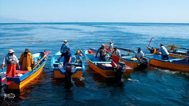 Pescadores en la isla San Benito Oeste